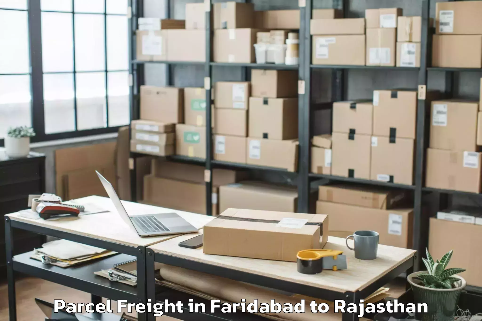 Faridabad to University Of Kota Kota Parcel Freight